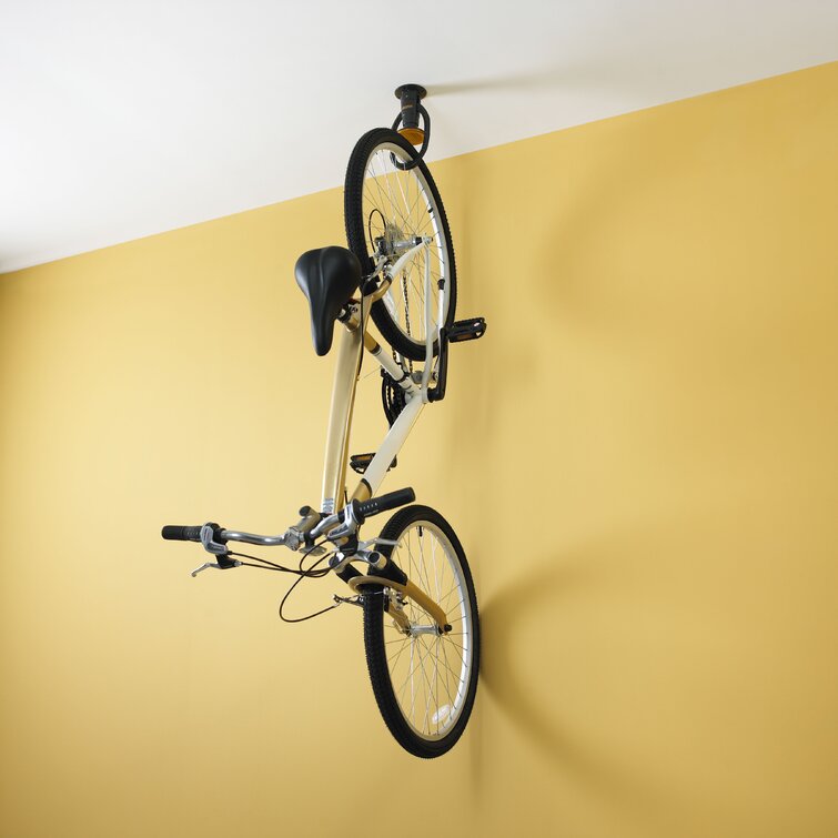 Bicycle store ceiling mount